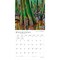 BrownTrout; National Parks | 2027 12 x 24 Inch (Hanging) Monthly Square Wall Calendar | Plastic-Free; Category:Wall Calendars; Image:5